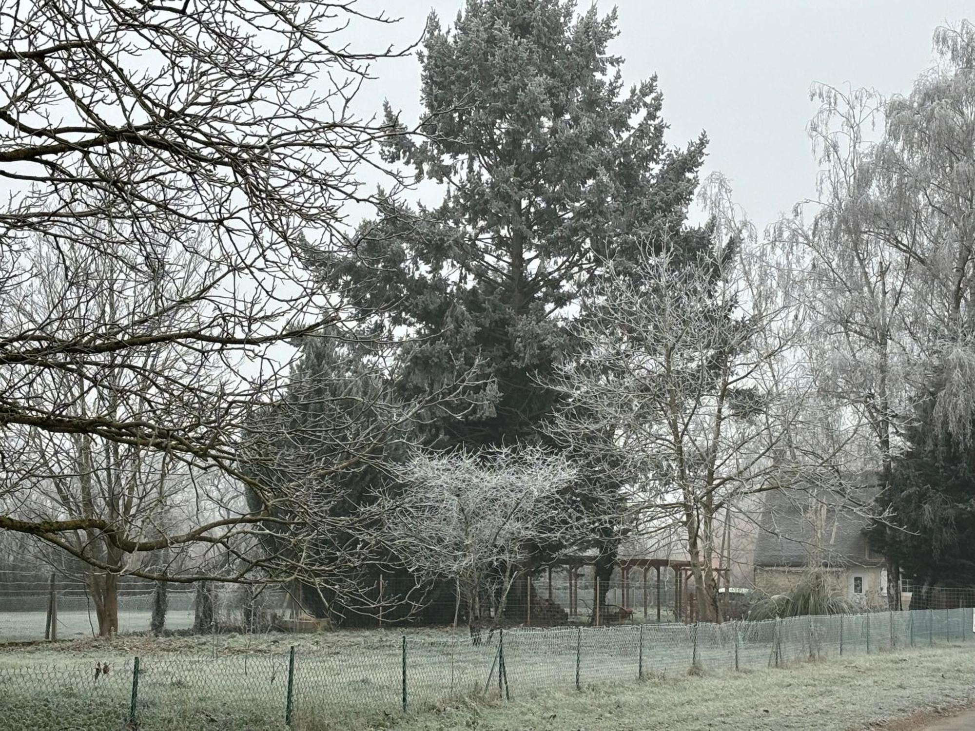 La Haute Tremiere Charenton-du-Cher Kültér fotó